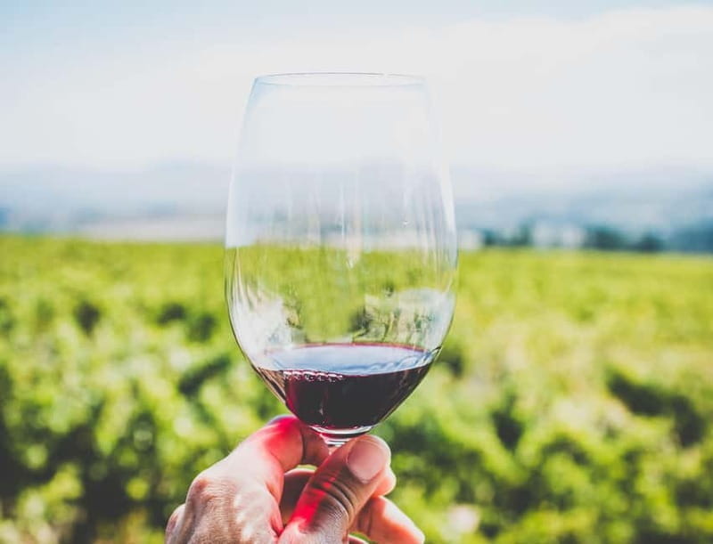 Sardinia: Wine Tasting and Nuragic Village Tour in Alghero - Exploring Sardinia’s Coastal Beauty