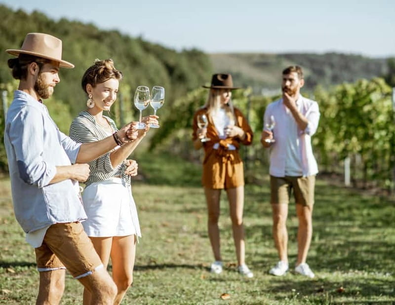 Sardinia: Wine Tasting and Nuragic Village Tour in Alghero - Stepping Back in Time at the Nuragic Village