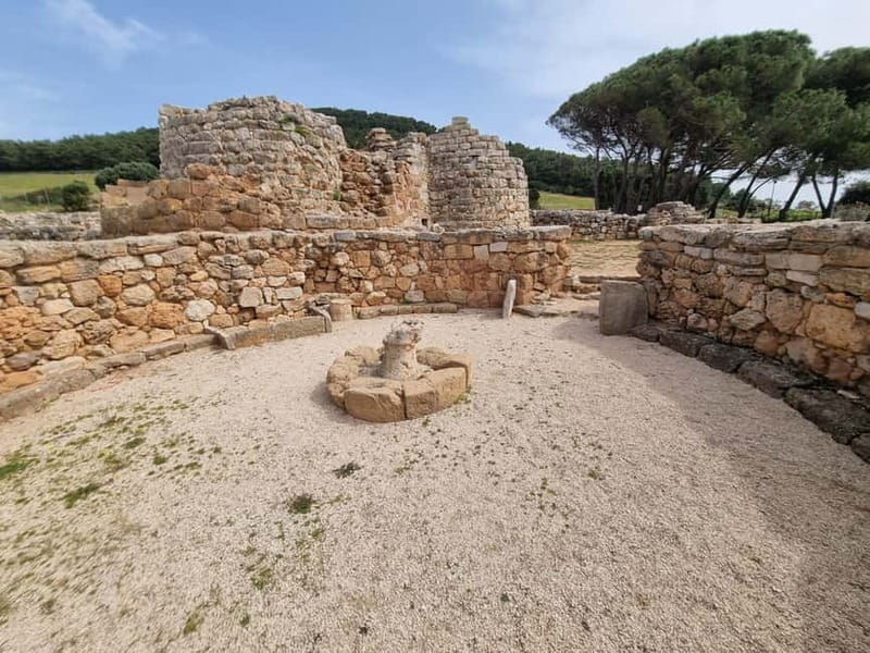 Sardinia: Wine Tasting and Nuragic Village Tour in Alghero - Final Thoughts on Value and Experience