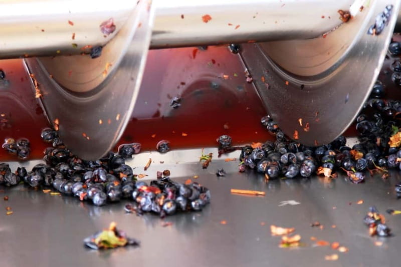 Sardinia: Winery Tour and Wine Tasting Experience - Key Points / Takeaways