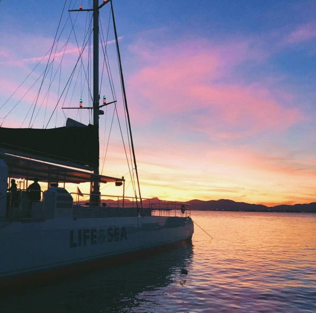 Sarenal: Sunset Catamaran Cruise With BBQ - Sunset Sail Through Palma Bay