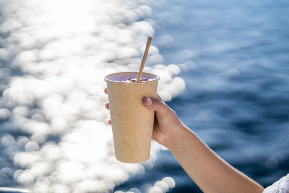 Sarenal: Sunset Catamaran Cruise With BBQ - Onboard BBQ and Refreshments