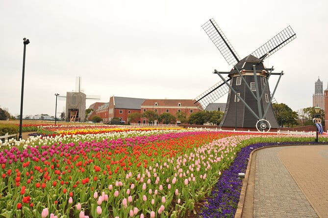 Sasebo Private Customizable Full Day Tour - Key Points