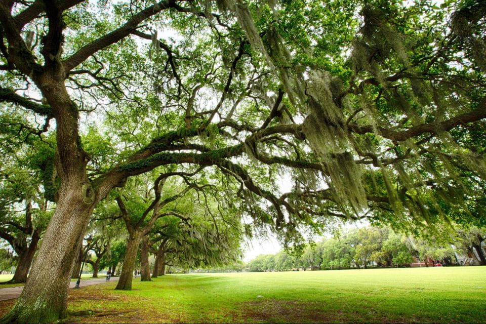 Savannah: Riverboat Cruise & City Tour Combo - Onboard Refreshments and Photos