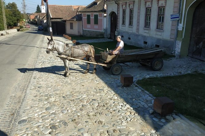Saxon Heritage in Transylvania: Day Trip from Cluj-Napoca - Price and Value Analysis