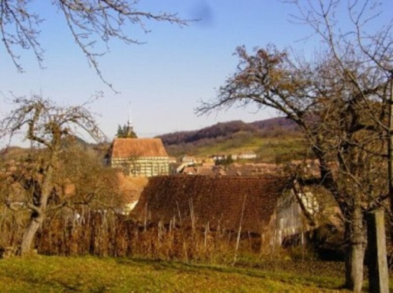 Saxon Secrets: The Malancrav & Biertan Experience - Entering the World of Transylvania’s Saxon Heritage