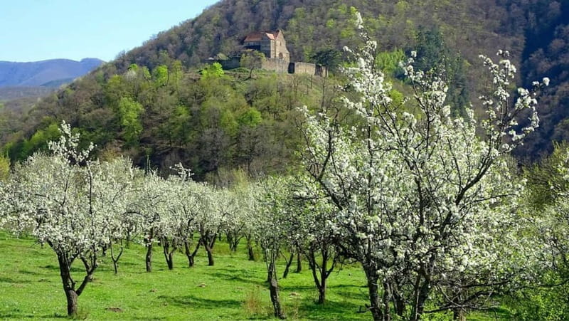 SB13 - Sibiu: Private Day Trip to Transylvanian Villages - Key points / Takeaways