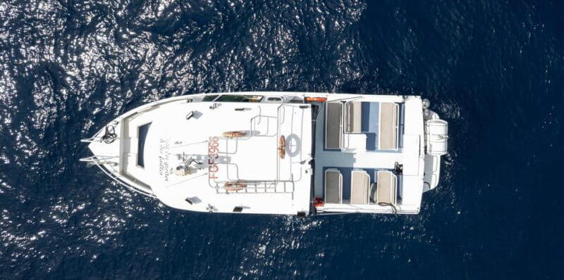 Scandola: visit the nature reserve from Porto (France) - Details That Matter: Price, Duration, and Practical Tips