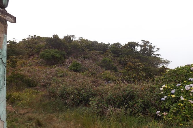 Scenic Blue Mountain Hike From Kingston - Challenging Terrain