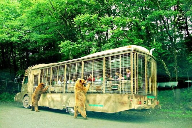 Scenic Day Tour of Hakone and Mount Fuji Private Tour (English) - Booking and Cancellation Policy