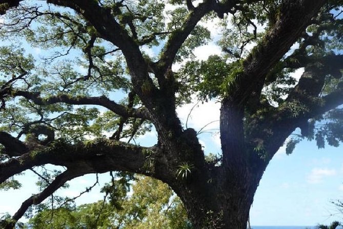 Scenic Romney Manor & Timothy Hill or Panoramic Brimstone Hill - Logistics and Requirements