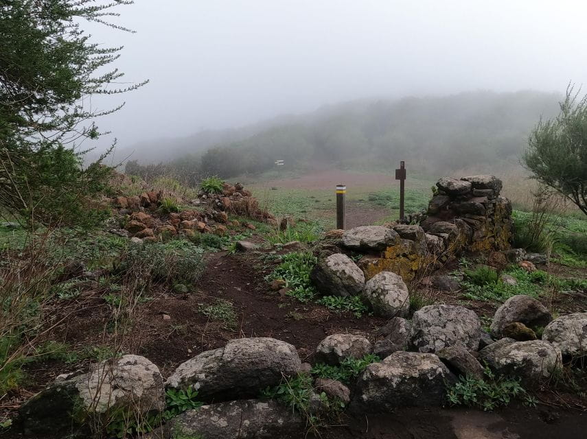 Scenic Route: Altos De Masca - Hiking Experience Highlights