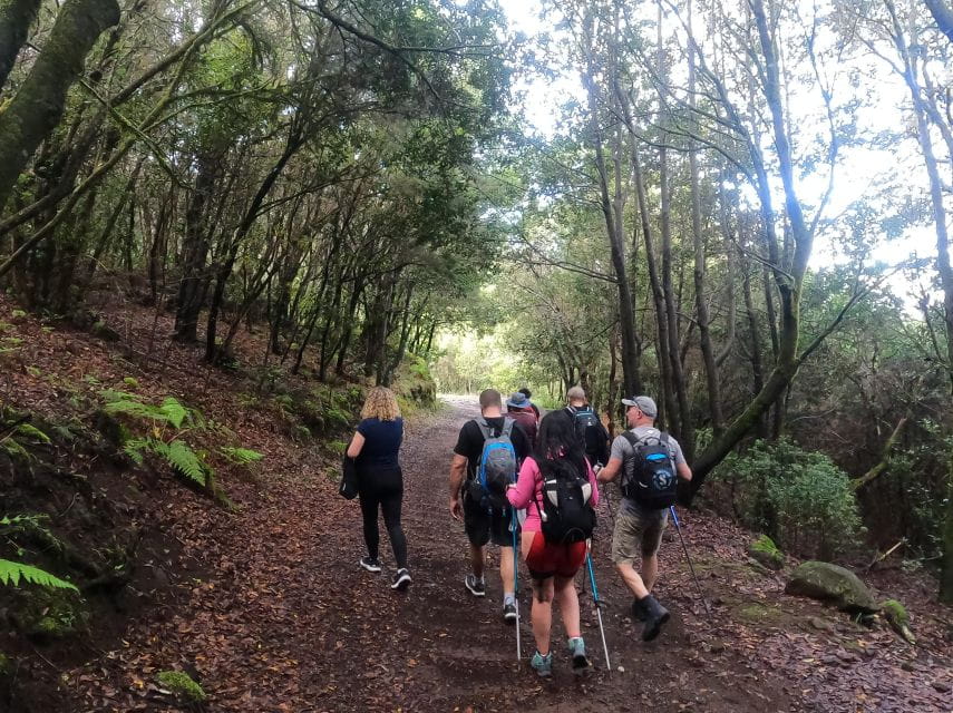 Scenic Route: Altos De Masca - Detailed Itinerary