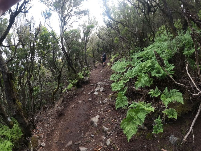 Scenic Route: Altos De Masca - Preparation Tips