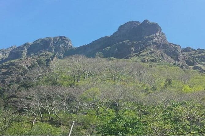 Scenic Route - Nuns Valley Tour - Group Size Limit