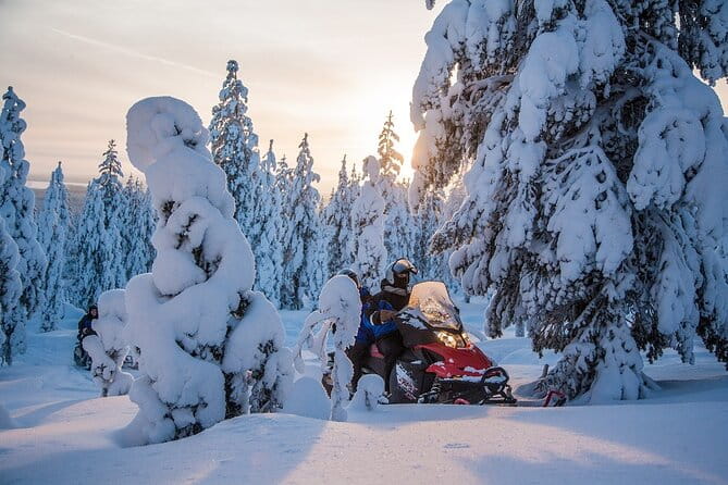 Scenic Snowmobile Safari in Saariselkä - Entering the Arctic: What to Expect on Your Snowmobile Safari