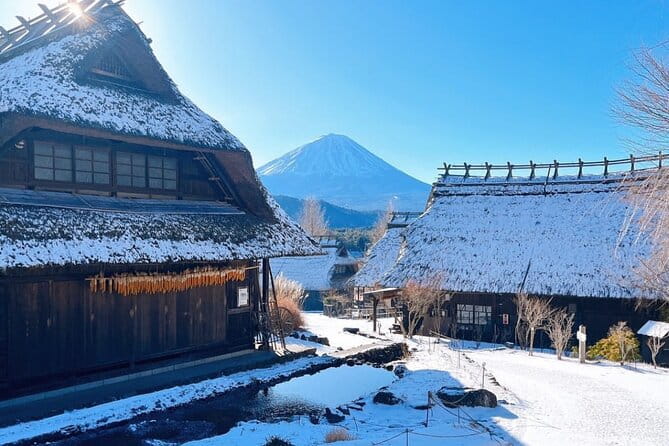 Scenic Spots of Mount Fuji Full Day Sightseeing Tour From Tokyo - Accessibility Information