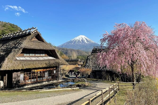 Scenic Spots of Mount Fuji Full Day Sightseeing Tour From Tokyo - Booking Information and Cancellation Policy