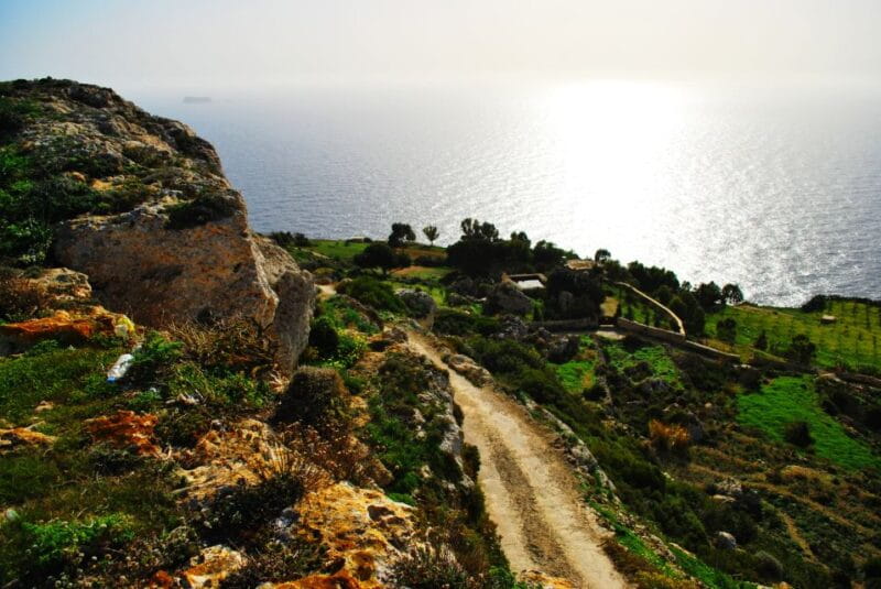 Scenic Tour by Vintage Bus to Buskett Garden & Dingli Cliffs - Price and Logistics