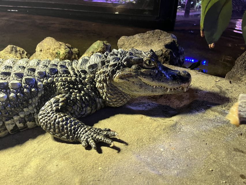 Scheveningen, The Hague: Sea Life Entry Ticket - Visitor Reviews