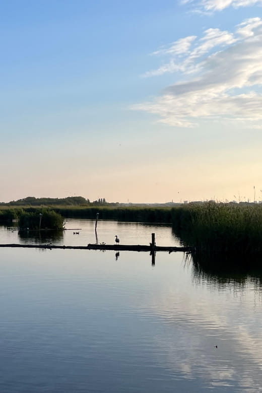 Schipluiden: Private Boat Tour to Rotterdam - Practical Details, Pricing, and Logistics