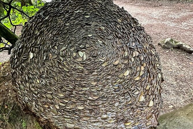 Scone Palace, Nature, Pitlochry, Whisky Experience from Edinburgh - Key Points / Takeaways