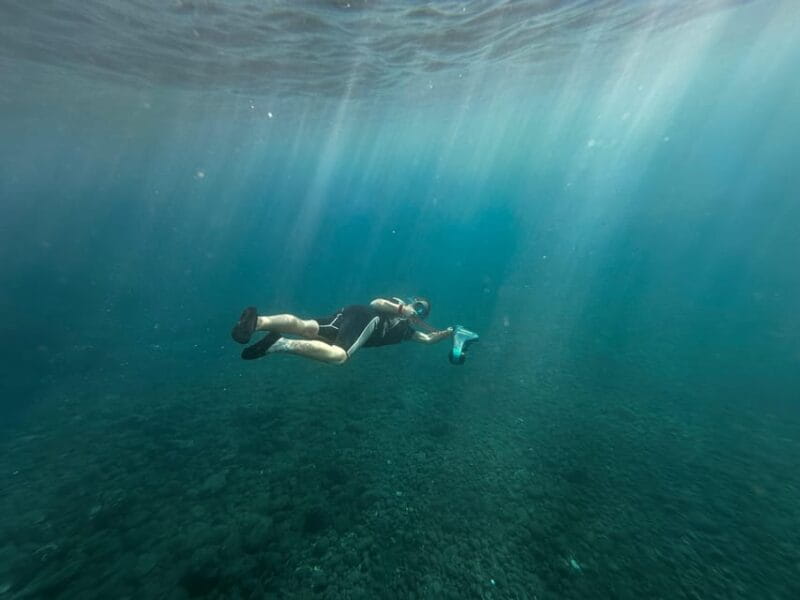 Scooter fun snorcel tour in turtle area - Price and Logistics – What to Keep in Mind