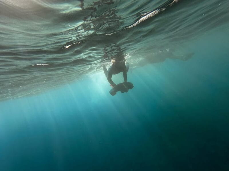 Scooter fun snorcel tour in turtle area - In Summary: Who Will Love This Tour?