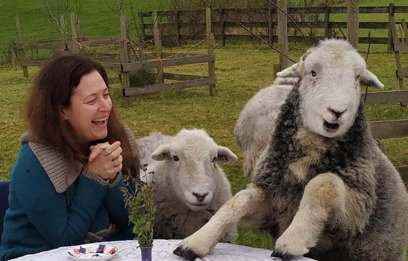 Scotland: Relaxation Retreat with Naughty Sheep - Key Points and Takeaways