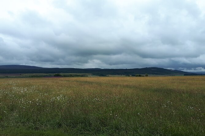 Scottish Highlands & Inverness Tour - Discovering Loch Ness