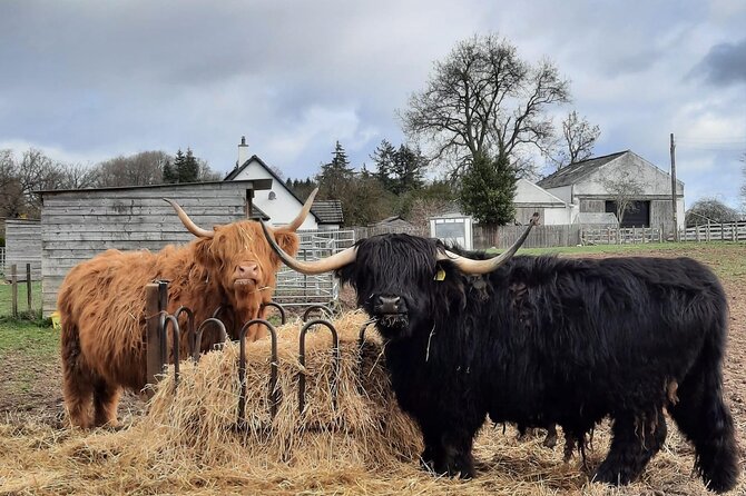 Scottish Whisky & Ancient Urquhart Castle & Loch Ness From Port - Glen Ord Distillery Tour