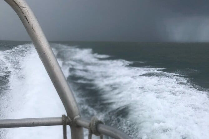 Scroby Sands Seal Watching - Key Points