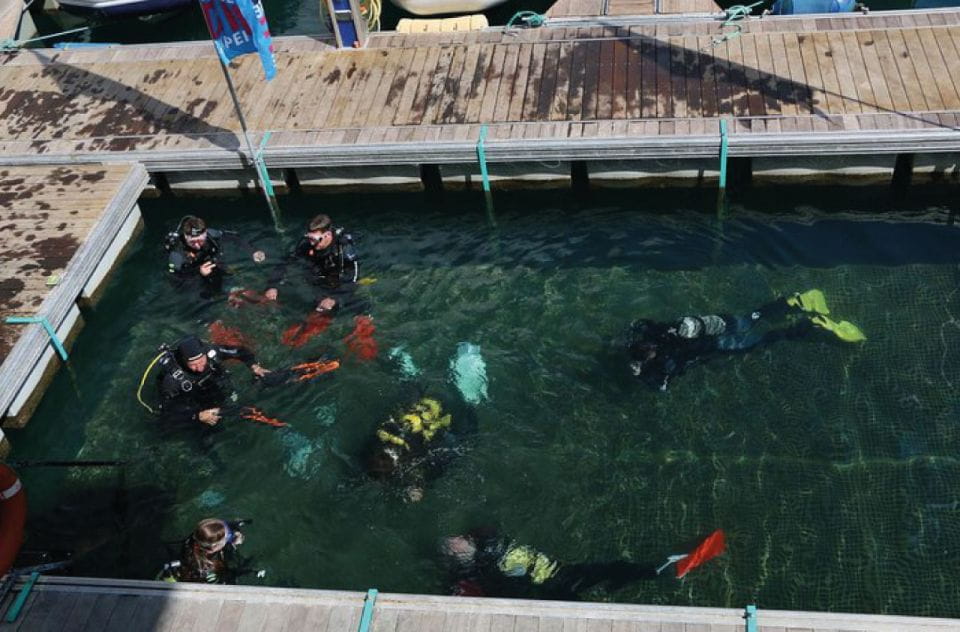 Scuba Diving Baptism in Caleta De Fuste - Things To Know