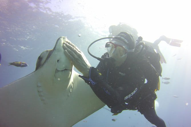 Scuba Diving Beginner's Session in Costa Adeje - Key Points