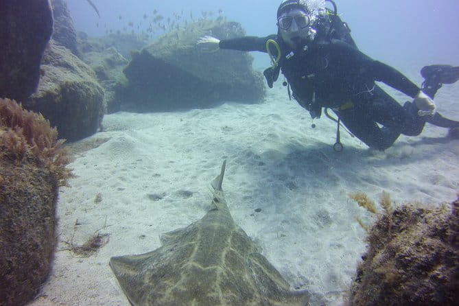 Scuba Diving Beginner's Session in Costa Adeje - FAQ