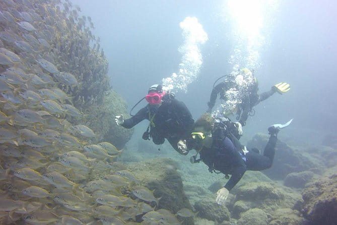 Scuba Diving Beginner's Session in Costa Adeje - Final Thoughts