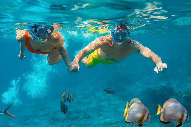 Scuba Diving Discover Boat Trip 2 Stops Intro Diving, Transfer, Lunch - Hurghada - Booking and Confirmation