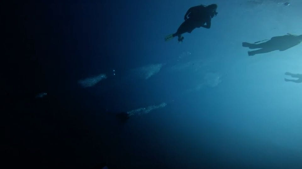 Scuba Diving - Dive for Certified Divers - Things To Know