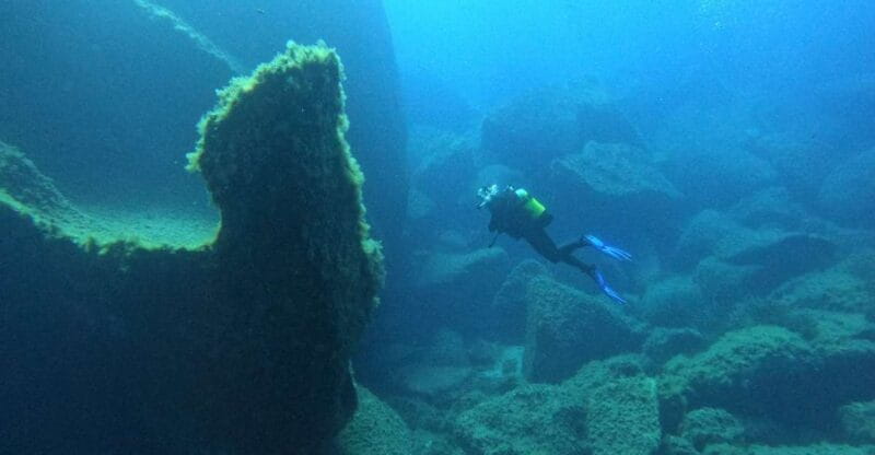 Scuba Diving Excursion in the Marine Protected Area - Who This Tour Is Perfect For