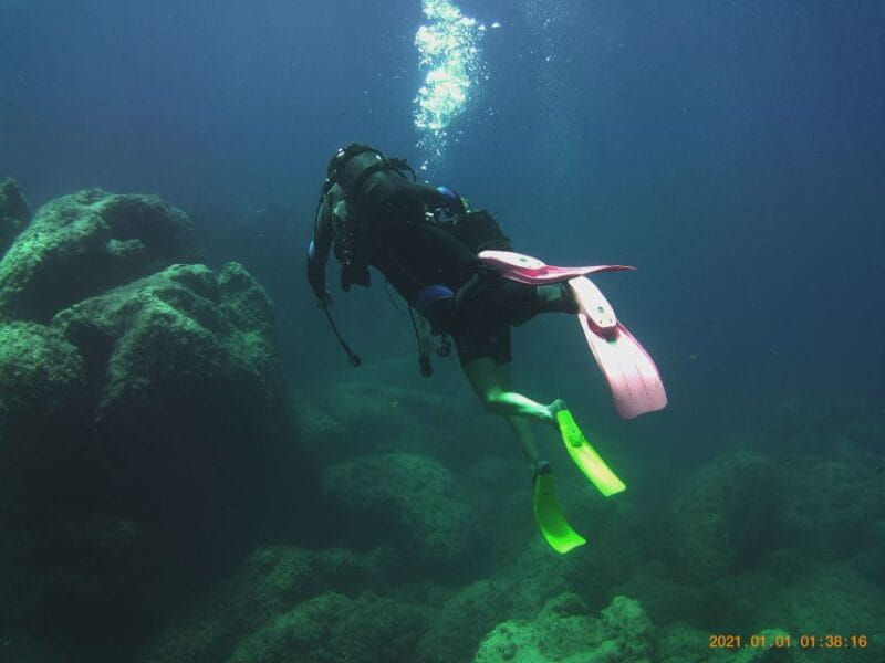 Scuba Diving Experience for Beginners - Starting Point: Ease and Convenience