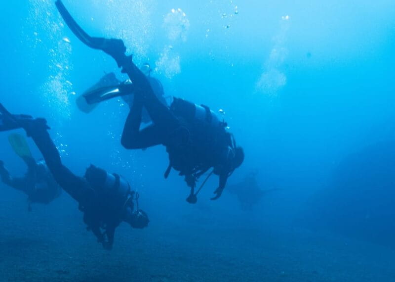 Scuba Diving Experience for Beginners In Greece - A Beginner’s Introduction to Underwater Adventure in Greece