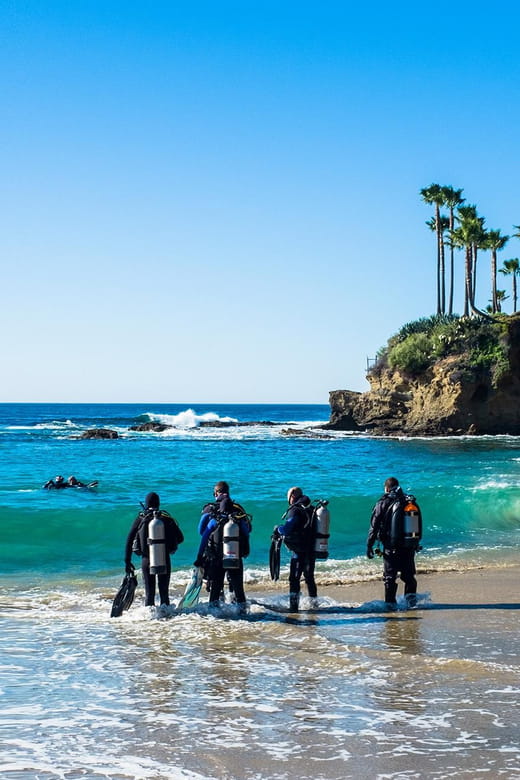 Scuba Diving Experience for Beginners In Greece - Key Points / Takeaways