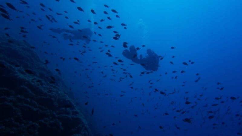 Scuba Diving Experience for Beginners In Greece - Why This Experience Is Worth Considering