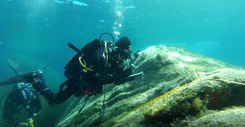 Scuba diving experience in La Maddalena : Baptism of the sea - Price and Logistics: Is It Worth It?