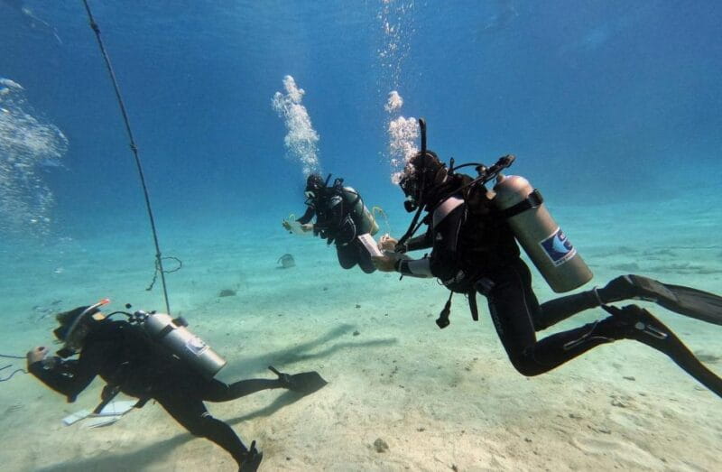 Scuba Diving Experience in Porto Cesareo - Key points / Takeaways