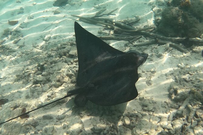 Scuba Diving Experience in Santorini - Group Size and Cancellation Policy