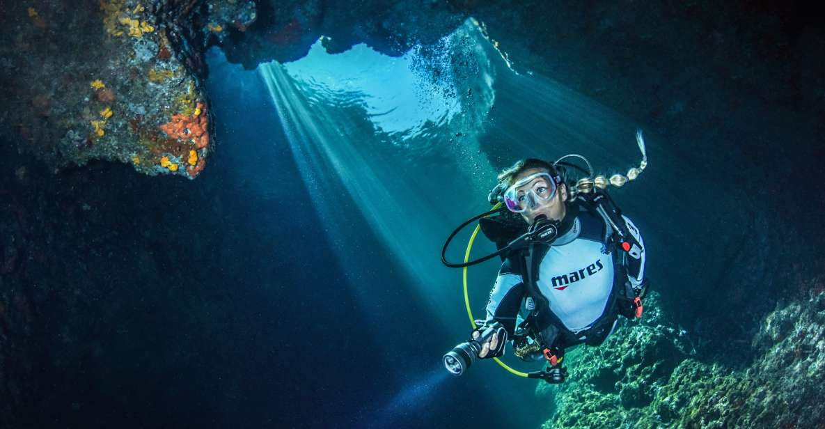 Scuba Diving for Certified Divers - Highlight Discoveries