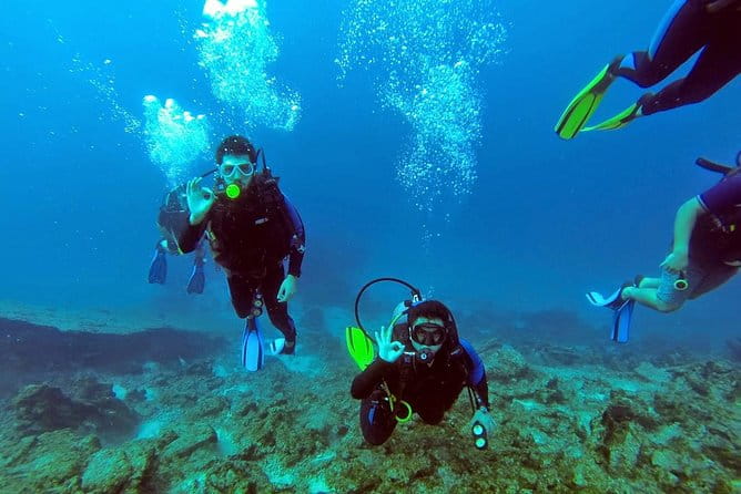 Scuba Diving from Bodrum - Bodrum Scuba Diving: A Closer Look