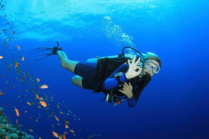 Scuba Diving From Marmaris Area - Dining and Refreshment Offerings