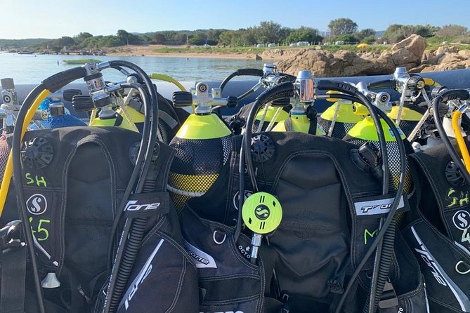 Scuba Diving in La Maddalena and Lavezzi Marine Protected Areas. - Highlights of the Dive Sites